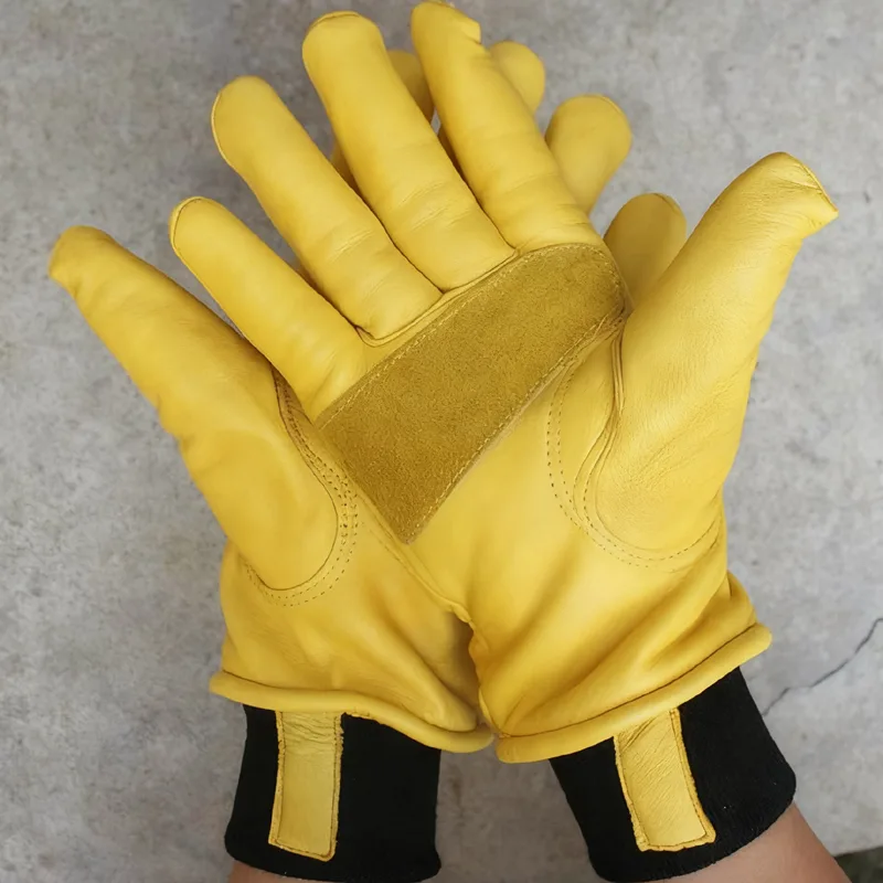 قفازات شتوية للرجال للدراجات ا - مراجعة Winter Glove Insulated وسعره